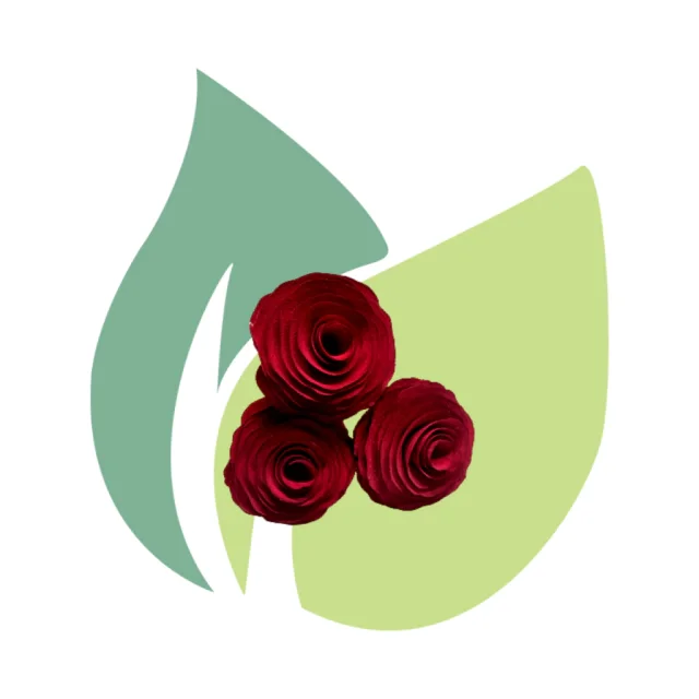 Vareta Decorativa Rosa Vermelha 25cm para Difusor – 1 Unidade
