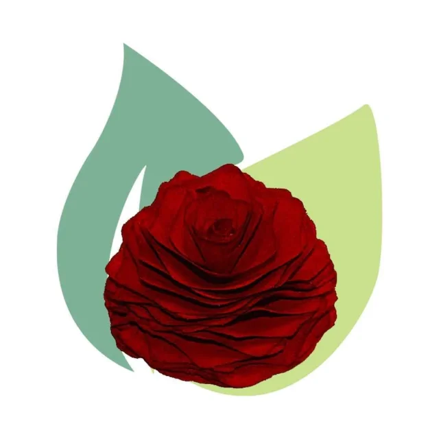 Rosa de Madeira Vermelha com Cordão para Difusor de Ambiente